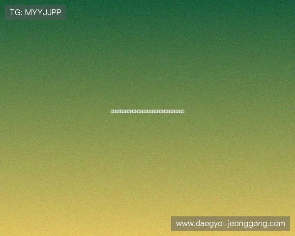 星际娱乐公司深度解析世界杯赛事背后故事满足球迷多元化信息需求